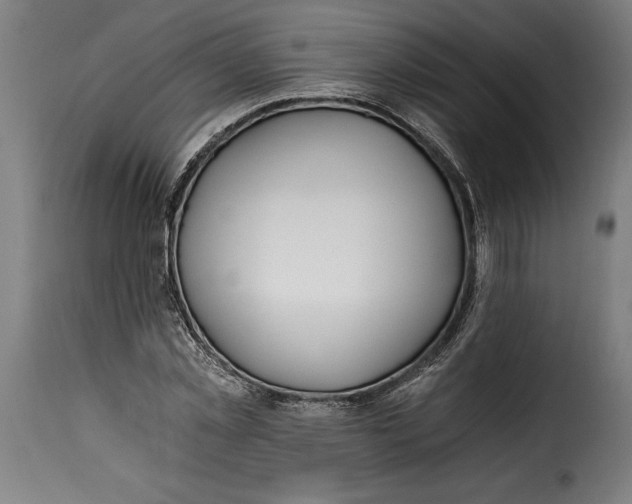 X0000115240781200911201619