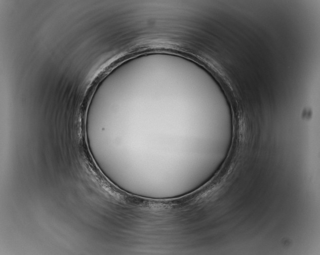 X0000115240782200911201619