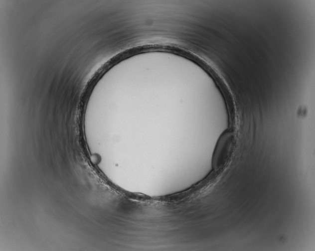 X0000115240783200911201619