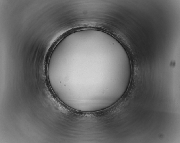 X0000115240784200911201619