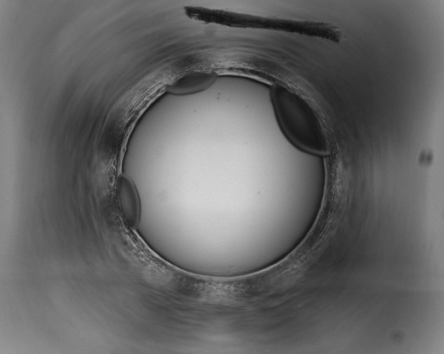 X0000115240785200911201619