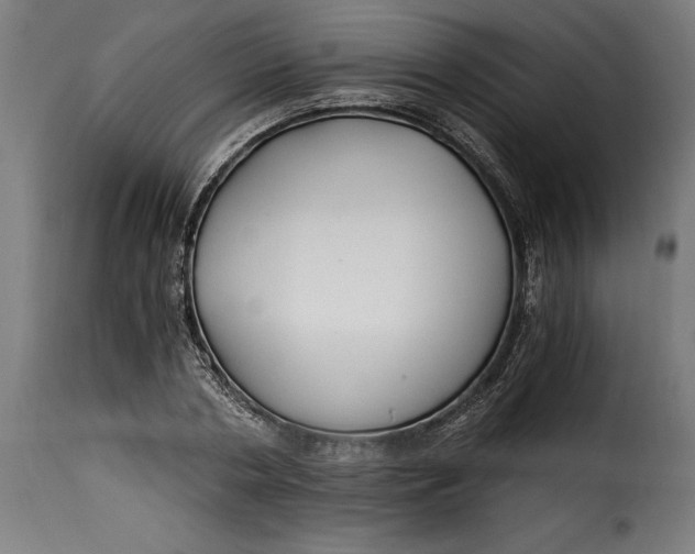 X0000115240786200911201619