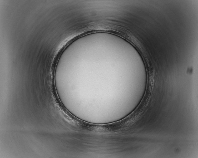 X0000115240787200911201619