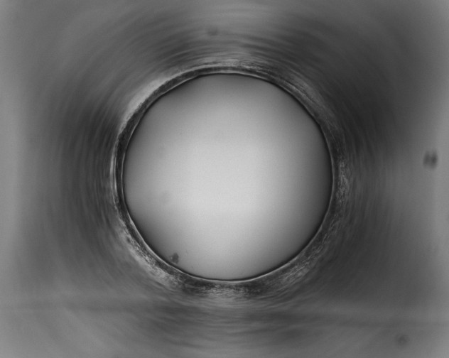 X0000115240788200911201619