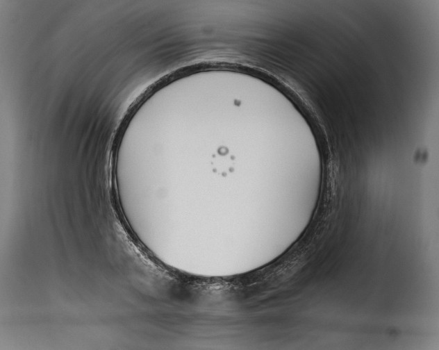 X0000115240791200911201619