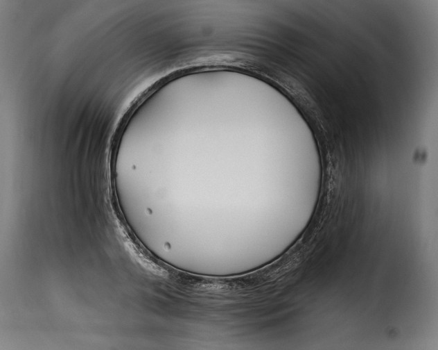 X0000115240792200911201619