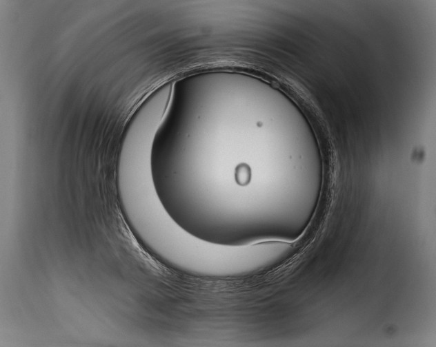 X0000115240793200911201619