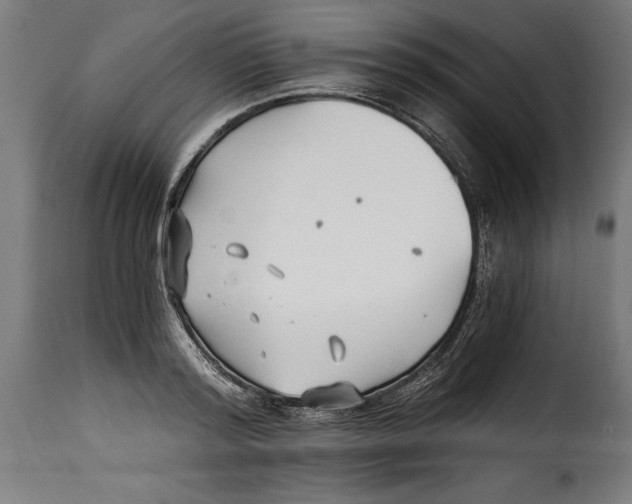 X0000115240796200911201619