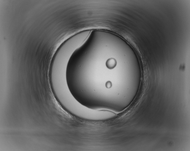 X0000115240797200911201619