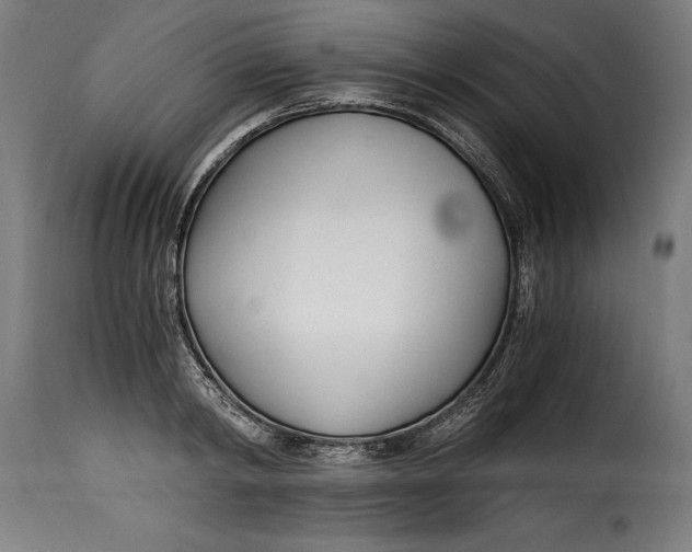 X0000115240798200911201619