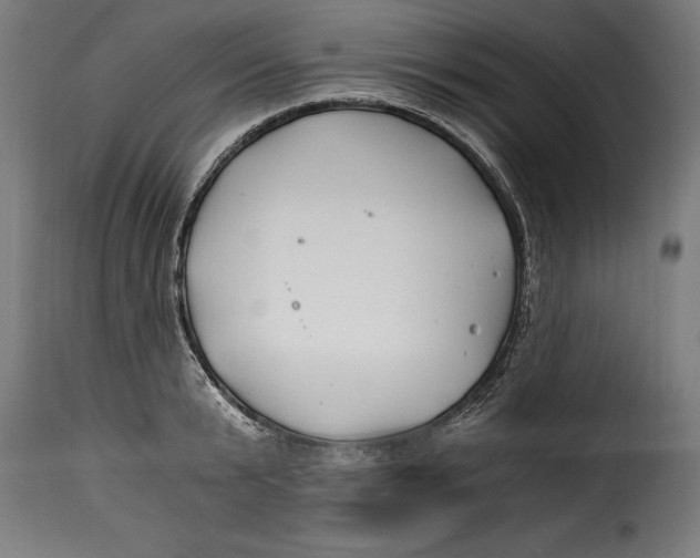 X0000115240799200911201619