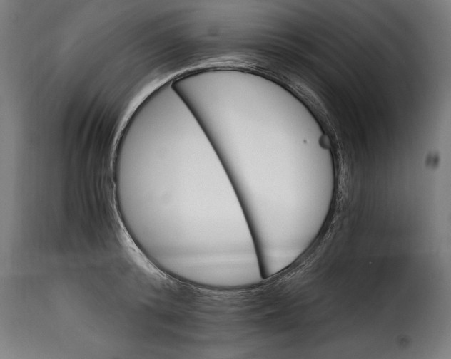 X0000115240800200911201619