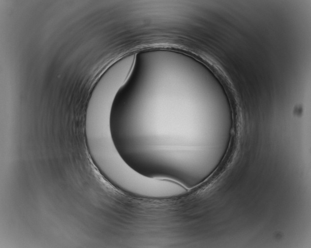 X0000115240801200911201619