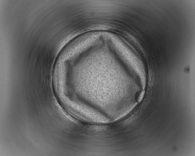 X0000115240802200911201619