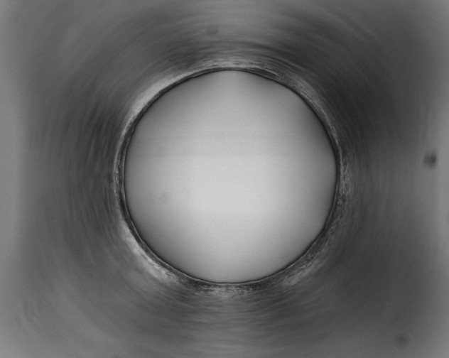 X0000115240803200911201619