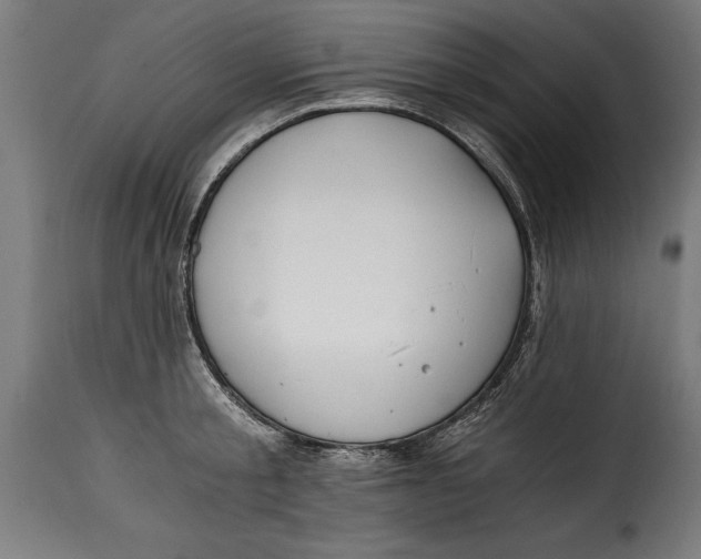 X0000115240805200911201619
