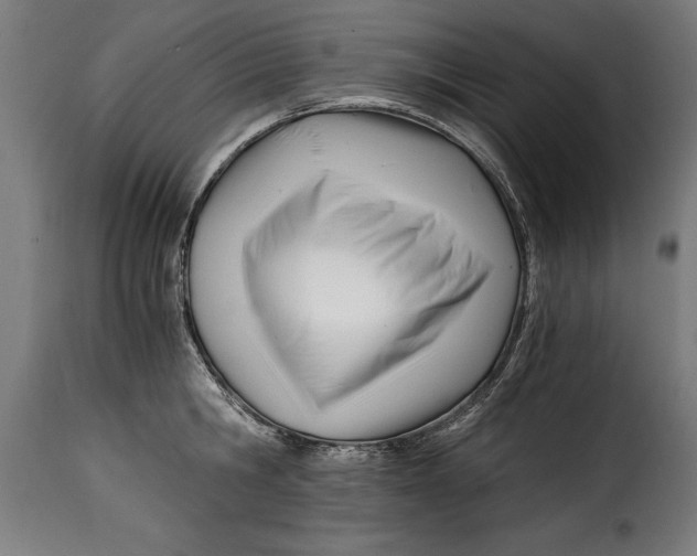 X0000115240806200911201619