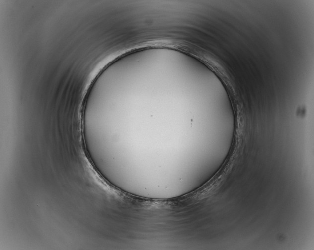 X0000115240808200911201619