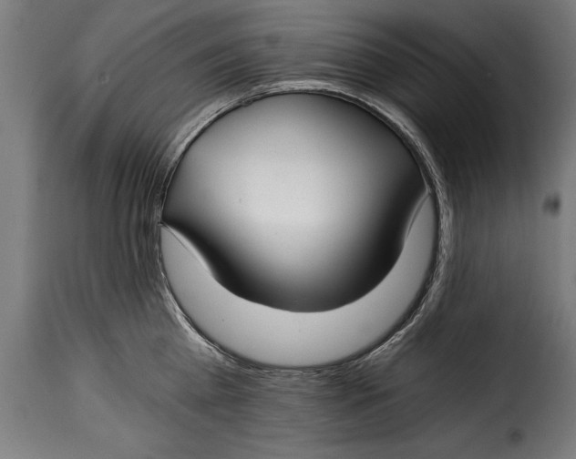 X0000115240809200911201619