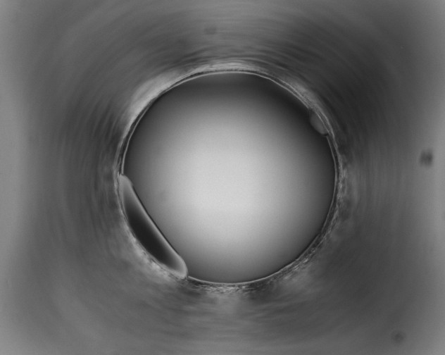 X0000115240813200911201619