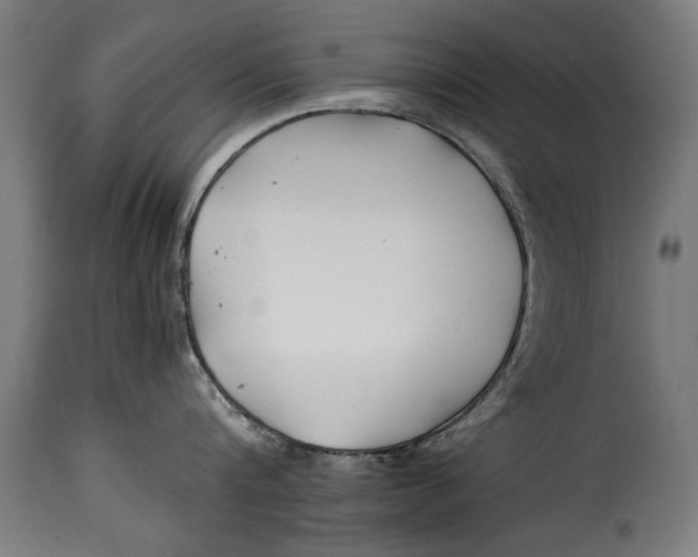 X0000115240816200911201619
