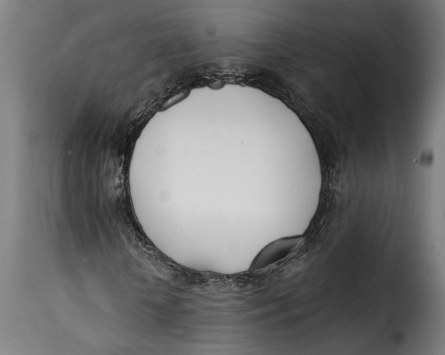 X0000115240818200911201618