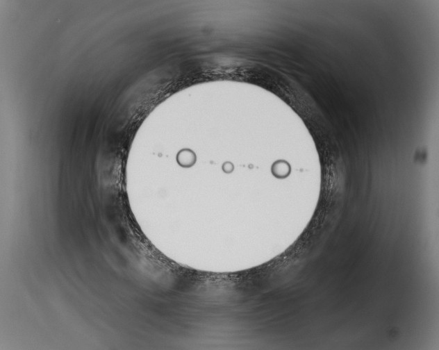 X0000115240820200911201618