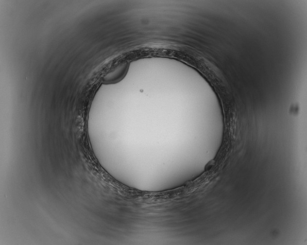 X0000115240821200911201618