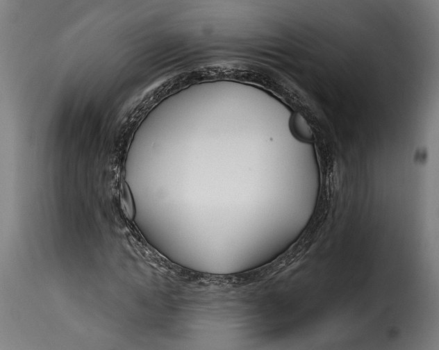X0000115240822200911201618