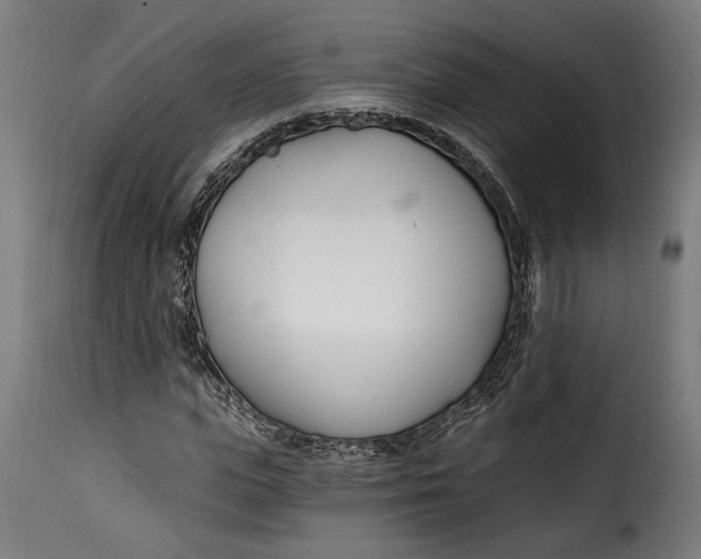 X0000115240823200911201618