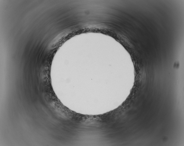 X0000115240824200911201618