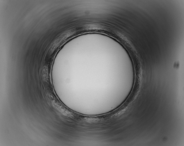 X0000115240825200911201618