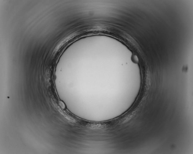 X0000115240826200911201618