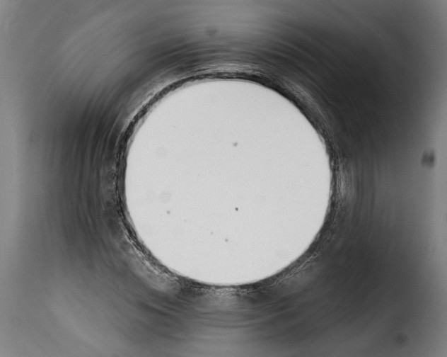 X0000115240828200911201618