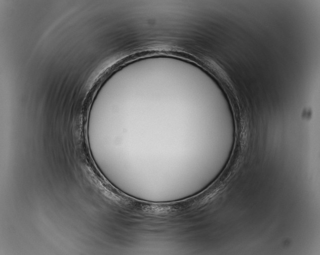 X0000115240831200911201618