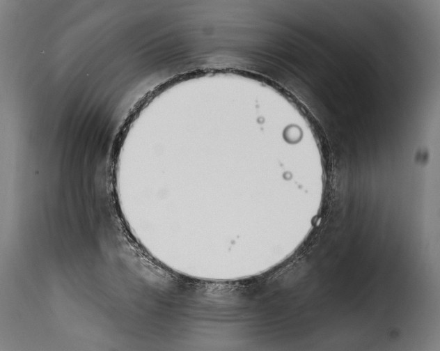 X0000115240832200911201618