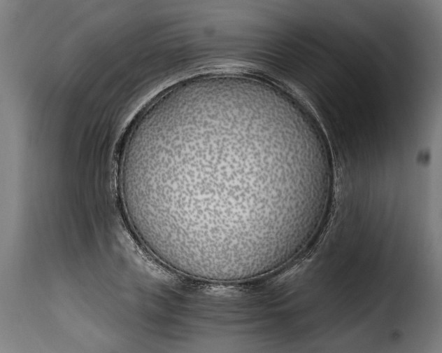 X0000115240835200911201618