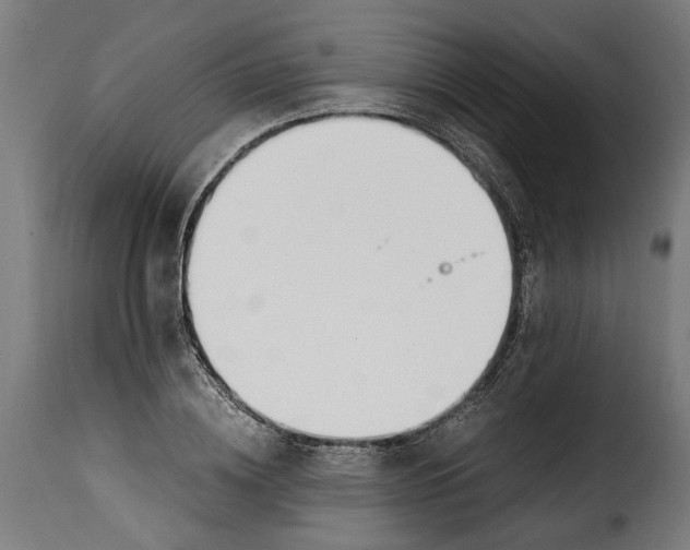 X0000115240836200911201618