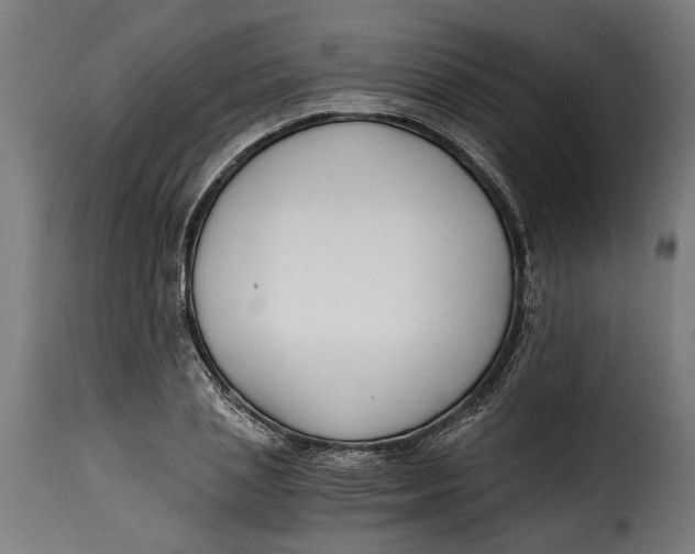 X0000115240837200911201618