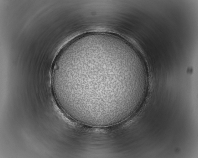 X0000115240839200911201618