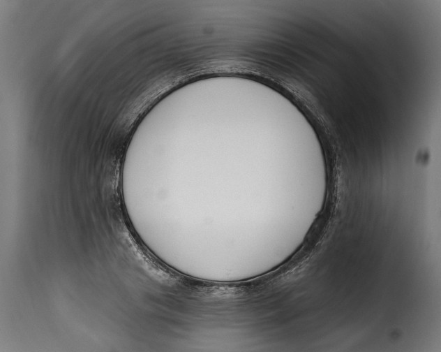 X0000115240841200911201618