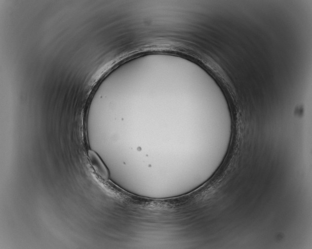 X0000115240842200911201618