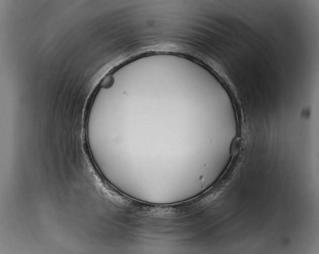X0000115240845200911201618
