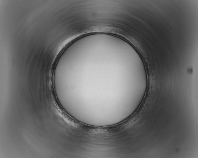 X0000115240846200911201618