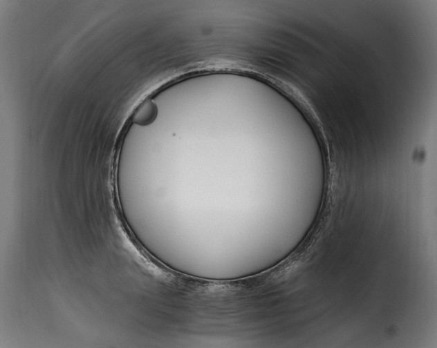 X0000115240847200911201618