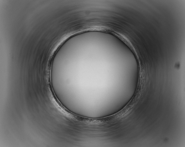 X0000115240851200911201618