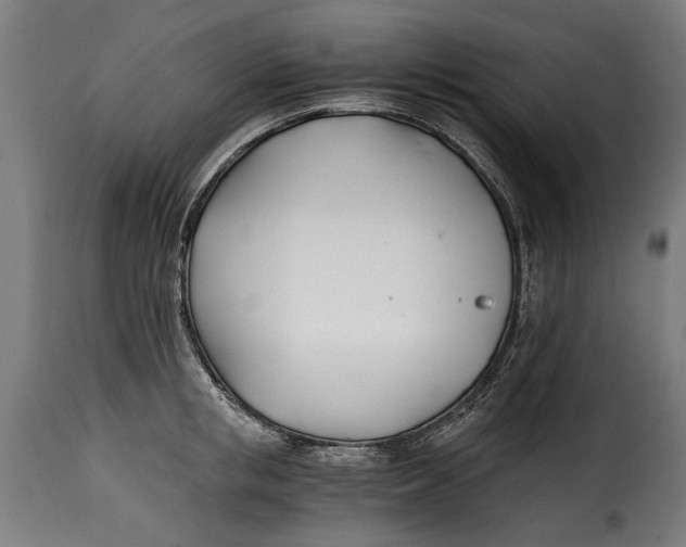X0000115240853200911201618
