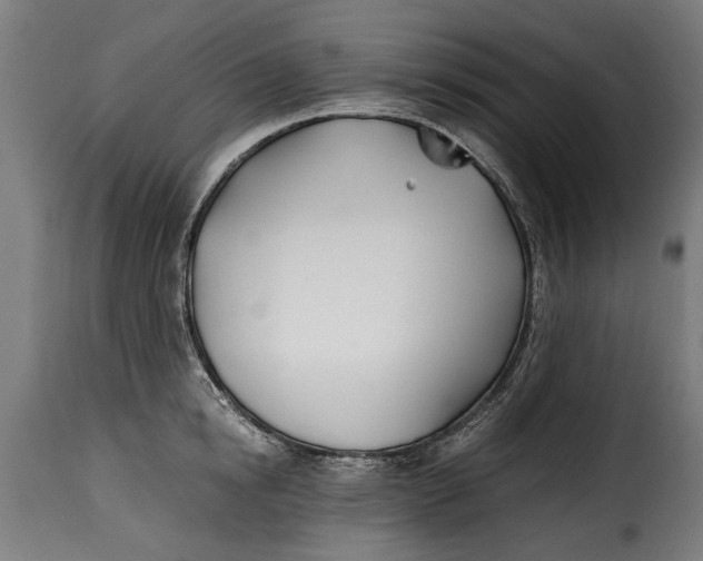 X0000115240854200911201618