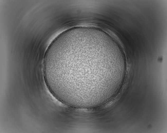 X0000115240855200911201618