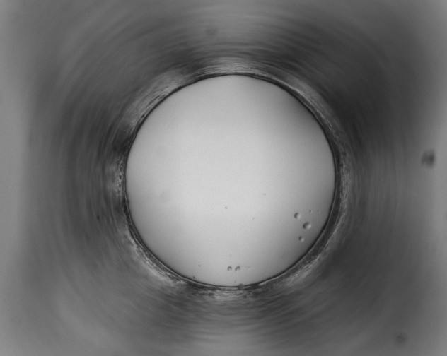X0000115240857200911201618